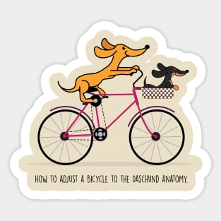 Dachshund riding a bicycle Sticker